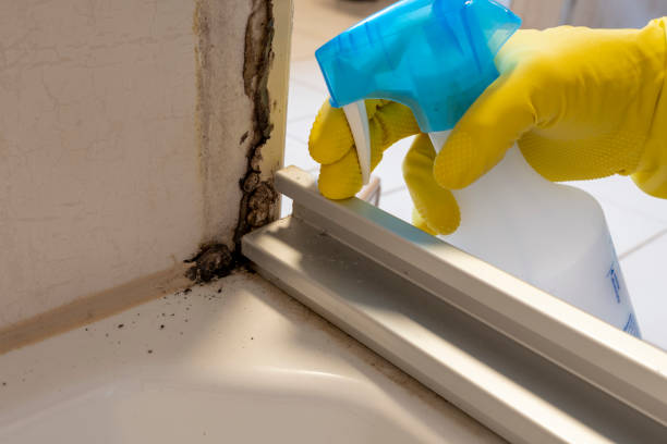 Best Residential Mold Remediation in Pearson, GA