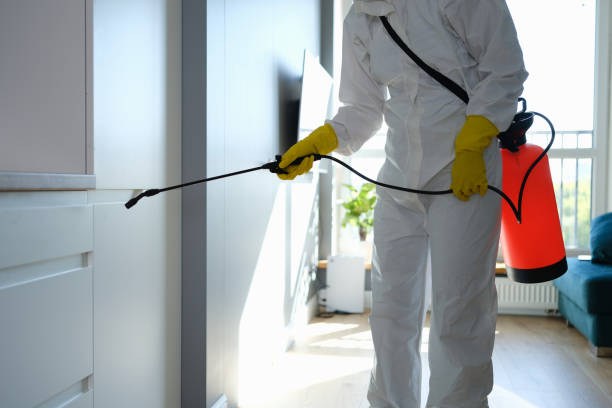 Best Residential Mold Remediation in Pearson, GA