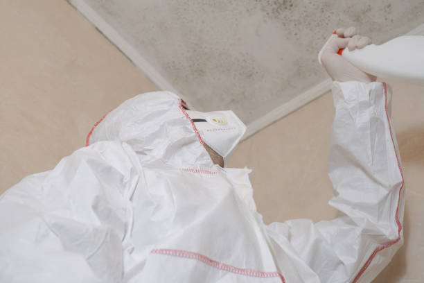 Best Commercial Mold Remediation in Pearson, GA