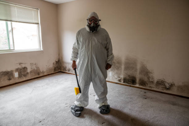 Best Commercial Mold Remediation in Pearson, GA